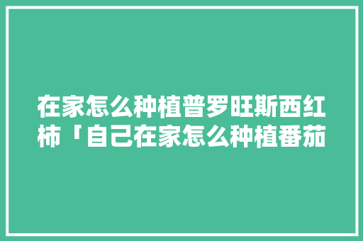 在家怎么种植普罗旺斯西红柿「自己在家怎么种植番茄种子」 在家怎么种植普罗旺斯西红柿「自己在家怎么种植番茄种子」 土壤施肥
