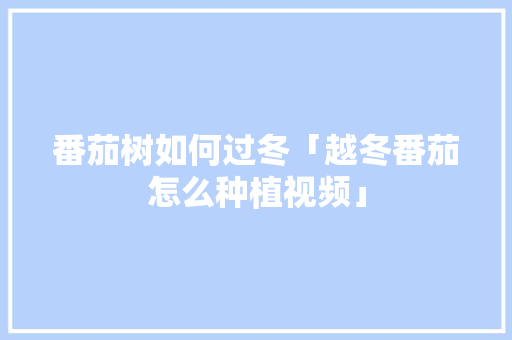 番茄树如何过冬「越冬番茄怎么种植视频」 番茄树如何过冬「越冬番茄怎么种植视频」 种植技巧