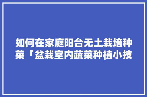 如何在家庭阳台无土栽培种菜「盆栽室内蔬菜种植小技巧视频」 如何在家庭阳台无土栽培种菜「盆栽室内蔬菜种植小技巧视频」 番茄种植技巧