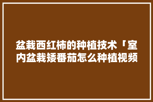 盆栽西红柿的种植技术「室内盆栽矮番茄怎么种植视频」 盆栽西红柿的种植技术「室内盆栽矮番茄怎么种植视频」 花朵知识