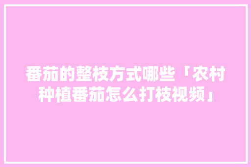 番茄的整枝方式哪些「农村种植番茄怎么打枝视频」 番茄的整枝方式哪些「农村种植番茄怎么打枝视频」 番茄病虫害防治