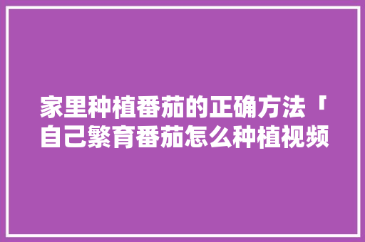 家里种植番茄的正确方法「自己繁育番茄怎么种植视频」 番茄种植技巧 家里种植番茄的正确方法「自己繁育番茄怎么种植视频」 家里种植番茄的正确方法「自己繁育番茄怎么种植视频」 番茄种植技巧