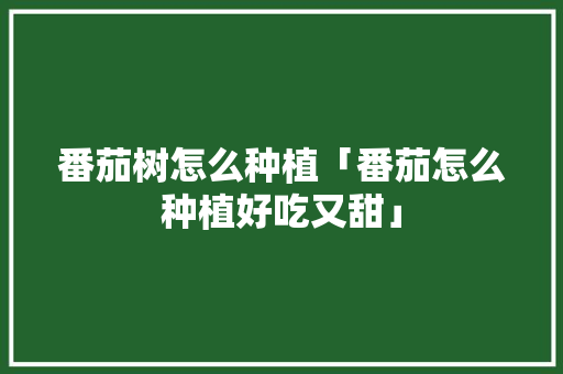 番茄树怎么种植「番茄怎么种植好吃又甜」 番茄树怎么种植「番茄怎么种植好吃又甜」 植物种类