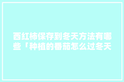 西红柿保存到冬天方法有哪些「种植的番茄怎么过冬天」 西红柿保存到冬天方法有哪些「种植的番茄怎么过冬天」 花朵知识