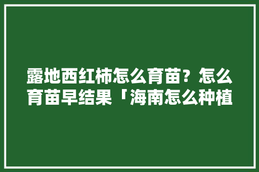 露地西红柿怎么育苗？怎么育苗早结果「海南怎么种植番茄苗视频」 露地西红柿怎么育苗？怎么育苗早结果「海南怎么种植番茄苗视频」 花朵知识