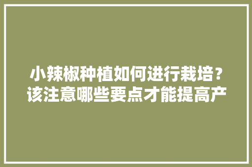 小辣椒种植如何进行栽培？该注意哪些要点才能提高产量「番茄豆怎么种植方法图解视频」