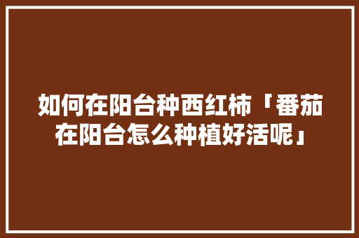 如何在阳台种西红柿「番茄在阳台怎么种植好活呢」 如何在阳台种西红柿「番茄在阳台怎么种植好活呢」 农业常识
