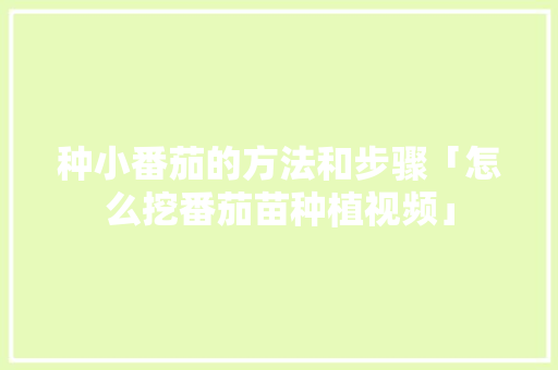 种小番茄的方法和步骤「怎么挖番茄苗种植视频」 种小番茄的方法和步骤「怎么挖番茄苗种植视频」 番茄病虫害防治