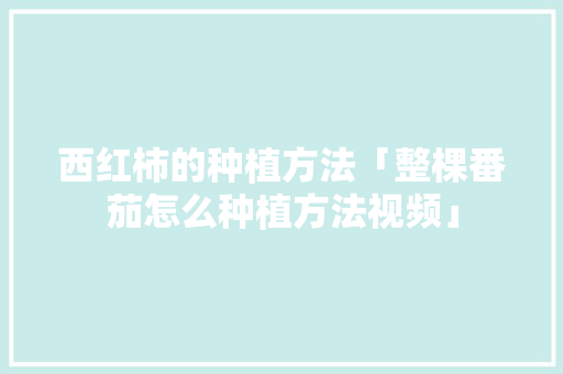 西红柿的种植方法「整棵番茄怎么种植方法视频」 西红柿的种植方法「整棵番茄怎么种植方法视频」 花朵知识