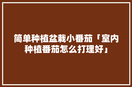 简单种植盆栽小番茄「室内种植番茄怎么打理好」 简单种植盆栽小番茄「室内种植番茄怎么打理好」 番茄种植技巧