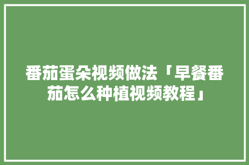 番茄蛋朵视频做法「早餐番茄怎么种植视频教程」 番茄蛋朵视频做法「早餐番茄怎么种植视频教程」 植物种类