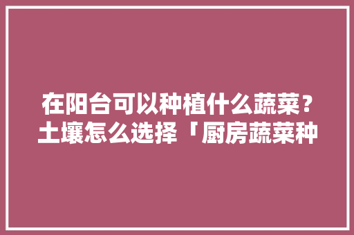 在阳台可以种植什么蔬菜？土壤怎么选择「厨房蔬菜种植小技巧图片视频」 在阳台可以种植什么蔬菜？土壤怎么选择「厨房蔬菜种植小技巧图片视频」 番茄种植技巧