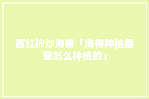 西红柿炒海带「海带种植番茄怎么种植的」 西红柿炒海带「海带种植番茄怎么种植的」 番茄种植技巧