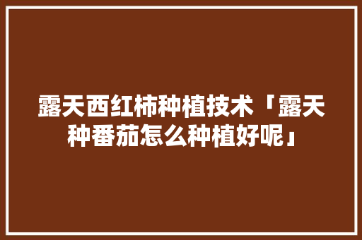 露天西红柿种植技术「露天种番茄怎么种植好呢」 露天西红柿种植技术「露天种番茄怎么种植好呢」 花朵知识