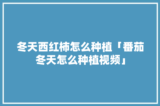 冬天西红柿怎么种植「番茄冬天怎么种植视频」 冬天西红柿怎么种植「番茄冬天怎么种植视频」 土壤施肥