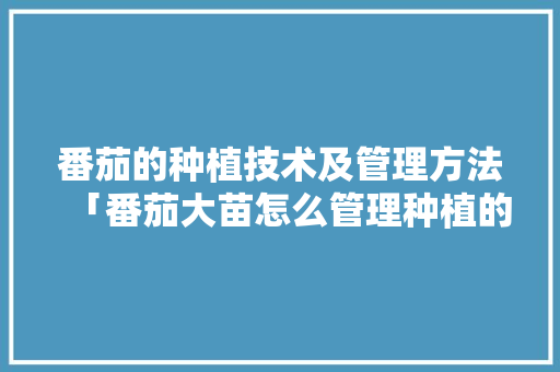 番茄的种植技术及管理方法「番茄大苗怎么管理种植的」 番茄的种植技术及管理方法「番茄大苗怎么管理种植的」 番茄种植技巧