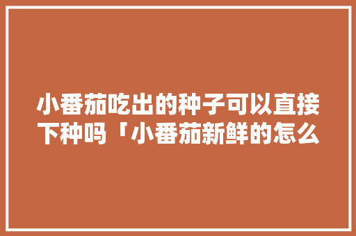 小番茄吃出的种子可以直接下种吗「小番茄新鲜的怎么种植的」 小番茄吃出的种子可以直接下种吗「小番茄新鲜的怎么种植的」 种植技巧