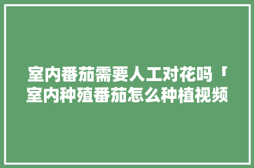室内番茄需要人工对花吗「室内种殖番茄怎么种植视频」 室内番茄需要人工对花吗「室内种殖番茄怎么种植视频」 植物种类