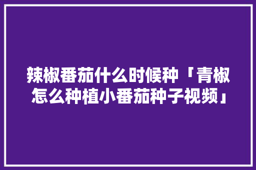 辣椒番茄什么时候种「青椒怎么种植小番茄种子视频」 辣椒番茄什么时候种「青椒怎么种植小番茄种子视频」 番茄病虫害防治