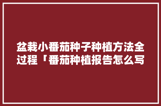 盆栽小番茄种子种植方法全过程「番茄种植报告怎么写好看图片」 盆栽小番茄种子种植方法全过程「番茄种植报告怎么写好看图片」 农业常识