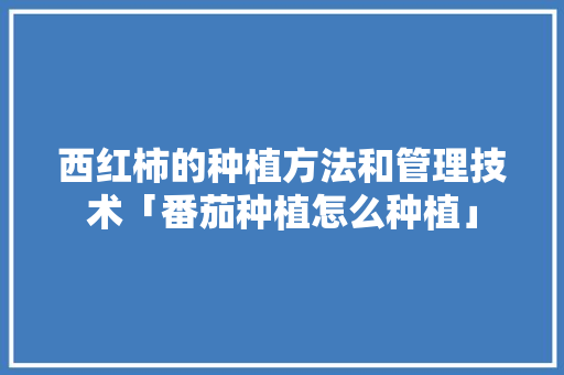 西红柿的种植方法和管理技术「番茄种植怎么种植」 西红柿的种植方法和管理技术「番茄种植怎么种植」 农业常识