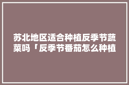 苏北地区适合种植反季节蔬菜吗「反季节番茄怎么种植视频教程」 苏北地区适合种植反季节蔬菜吗「反季节番茄怎么种植视频教程」 土壤施肥