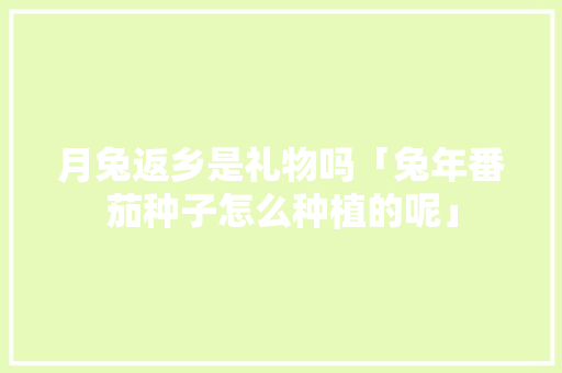 月兔返乡是礼物吗「兔年番茄种子怎么种植的呢」