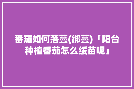 番茄如何落蔓(绑蔓)「阳台种植番茄怎么缓苗呢」 植物种类 番茄如何落蔓(绑蔓)「阳台种植番茄怎么缓苗呢」 番茄如何落蔓(绑蔓)「阳台种植番茄怎么缓苗呢」 植物种类