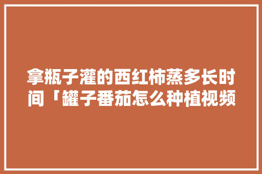 拿瓶子灌的西红柿蒸多长时间「罐子番茄怎么种植视频教程」 拿瓶子灌的西红柿蒸多长时间「罐子番茄怎么种植视频教程」 花朵知识