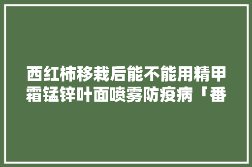 西红柿移栽后能不能用精甲霜锰锌叶面喷雾防疫病「番茄防疫期间怎么种植的」 西红柿移栽后能不能用精甲霜锰锌叶面喷雾防疫病「番茄防疫期间怎么种植的」 种植技巧