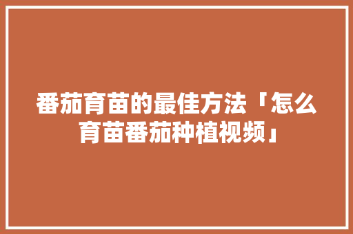 番茄育苗的最佳方法「怎么育苗番茄种植视频」 番茄育苗的最佳方法「怎么育苗番茄种植视频」 番茄种植技巧