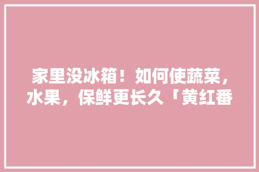 家里没冰箱！如何使蔬菜，水果，保鲜更长久「黄红番茄种子怎么种植视频」