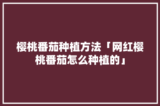 樱桃番茄种植方法「网红樱桃番茄怎么种植的」 樱桃番茄种植方法「网红樱桃番茄怎么种植的」 花朵知识