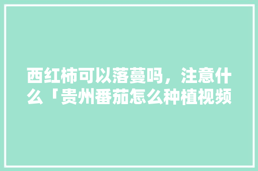 西红柿可以落蔓吗，注意什么「贵州番茄怎么种植视频教程」 西红柿可以落蔓吗，注意什么「贵州番茄怎么种植视频教程」 种植技巧