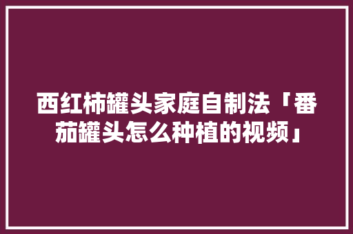 西红柿罐头家庭自制法「番茄罐头怎么种植的视频」 西红柿罐头家庭自制法「番茄罐头怎么种植的视频」 土壤施肥