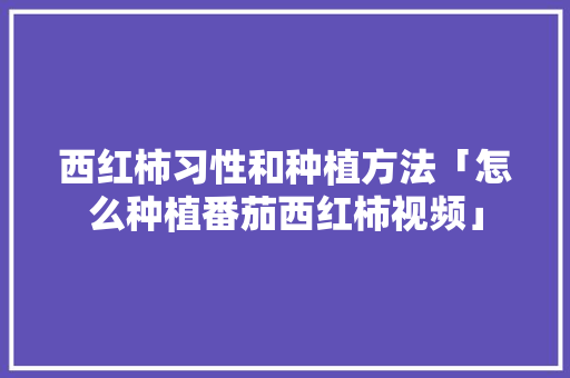 西红柿习性和种植方法「怎么种植番茄西红柿视频」 西红柿习性和种植方法「怎么种植番茄西红柿视频」 花朵知识