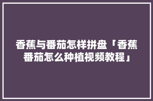 香蕉与番茄怎样拼盘「香蕉番茄怎么种植视频教程」