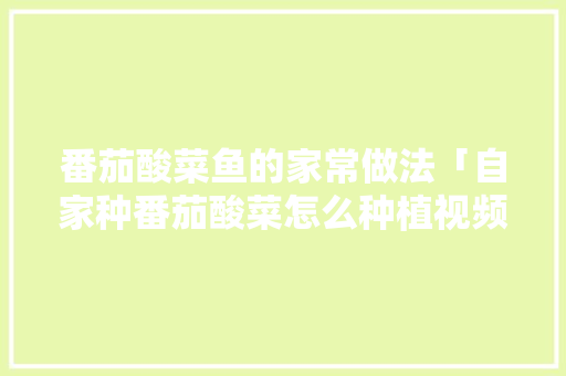 番茄酸菜鱼的家常做法「自家种番茄酸菜怎么种植视频」 番茄酸菜鱼的家常做法「自家种番茄酸菜怎么种植视频」 土壤施肥