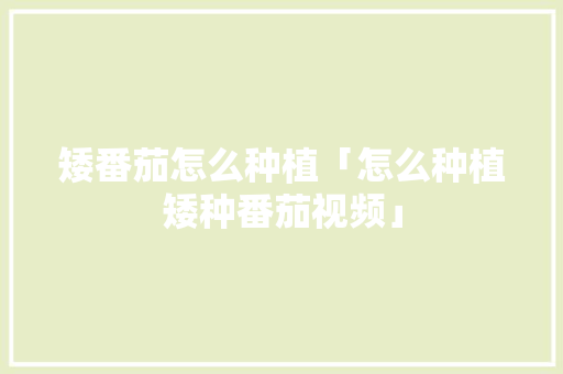 矮番茄怎么种植「怎么种植矮种番茄视频」