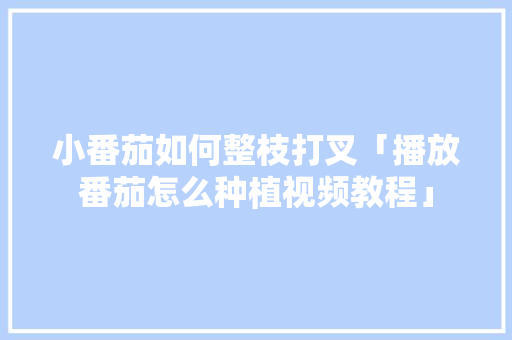 小番茄如何整枝打叉「播放番茄怎么种植视频教程」 小番茄如何整枝打叉「播放番茄怎么种植视频教程」 番茄病虫害防治