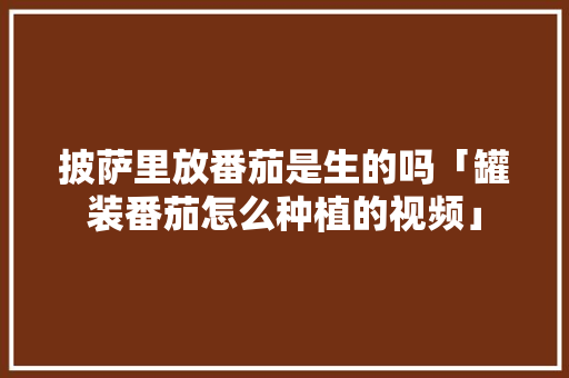披萨里放番茄是生的吗「罐装番茄怎么种植的视频」