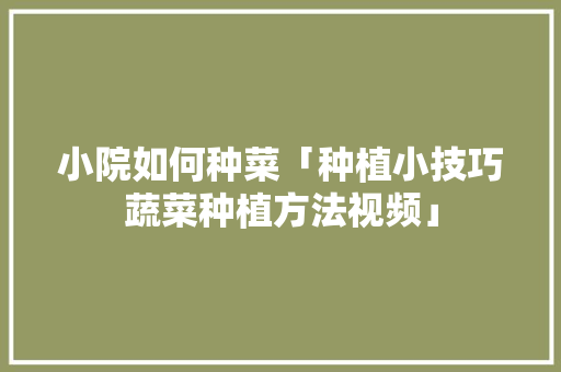 小院如何种菜「种植小技巧蔬菜种植方法视频」 小院如何种菜「种植小技巧蔬菜种植方法视频」 花朵知识