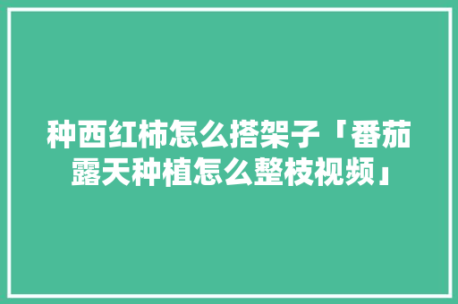 种西红柿怎么搭架子「番茄露天种植怎么整枝视频」 种西红柿怎么搭架子「番茄露天种植怎么整枝视频」 农业常识