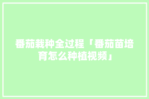 番茄栽种全过程「番茄苗培育怎么种植视频」 番茄栽种全过程「番茄苗培育怎么种植视频」 农业常识