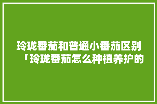 玲珑番茄和普通小番茄区别「玲珑番茄怎么种植养护的视频」 玲珑番茄和普通小番茄区别「玲珑番茄怎么种植养护的视频」 番茄病虫害防治
