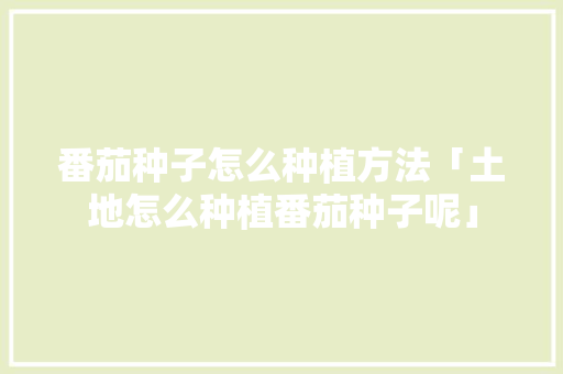 番茄种子怎么种植方法「土地怎么种植番茄种子呢」 番茄种子怎么种植方法「土地怎么种植番茄种子呢」 番茄种植技巧