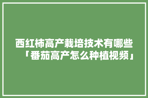 西红柿高产栽培技术有哪些「番茄高产怎么种植视频」 西红柿高产栽培技术有哪些「番茄高产怎么种植视频」 番茄种植技巧
