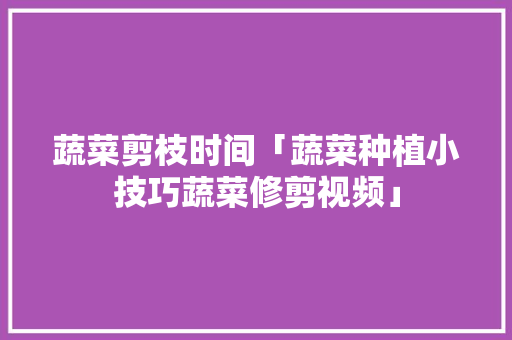 蔬菜剪枝时间「蔬菜种植小技巧蔬菜修剪视频」 蔬菜剪枝时间「蔬菜种植小技巧蔬菜修剪视频」 番茄种植技巧