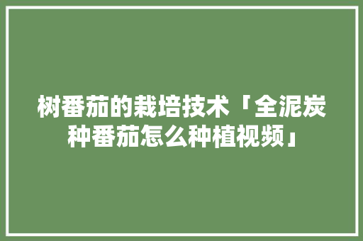 树番茄的栽培技术「全泥炭种番茄怎么种植视频」 树番茄的栽培技术「全泥炭种番茄怎么种植视频」 土壤施肥