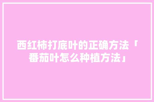 西红柿打底叶的正确方法「番茄叶怎么种植方法」 西红柿打底叶的正确方法「番茄叶怎么种植方法」 花朵知识